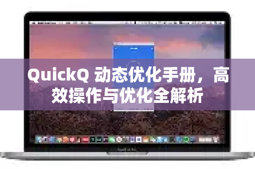 QuickQ 动态优化手册，高效操作与优化全解析