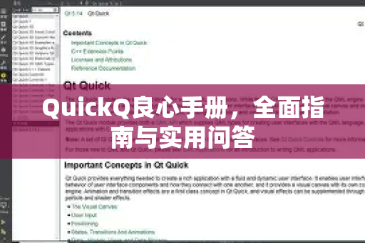 QuickQ良心手册，全面指南与实用问答