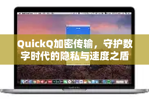 QuickQ加密传输，守护数字时代的隐私与速度之盾