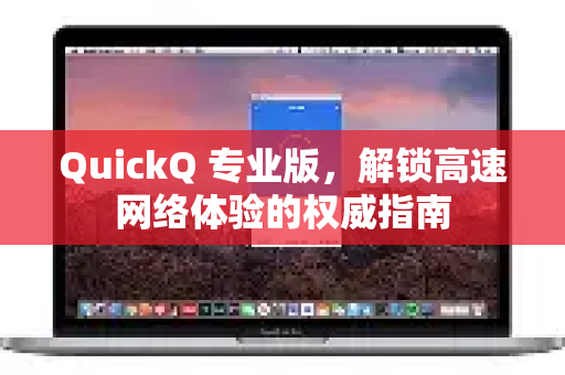 QuickQ 专业版，解锁高速网络体验的权威指南
