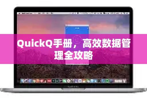 QuickQ手册，高效数据管理全攻略-第1张图片-QuickQ客户端官网 - 享免费VPN高速体验