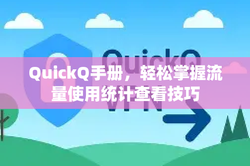 QuickQ手册，轻松掌握流量使用统计查看技巧-第1张图片-QuickQ客户端官网 - 享免费VPN高速体验