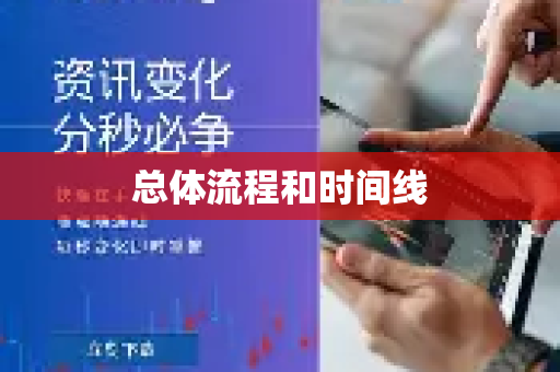 总体流程和时间线